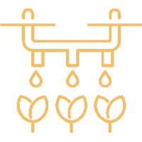 irrigation